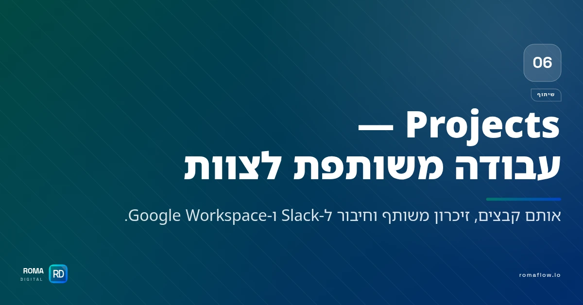 Projects בפרפלקסיטי
